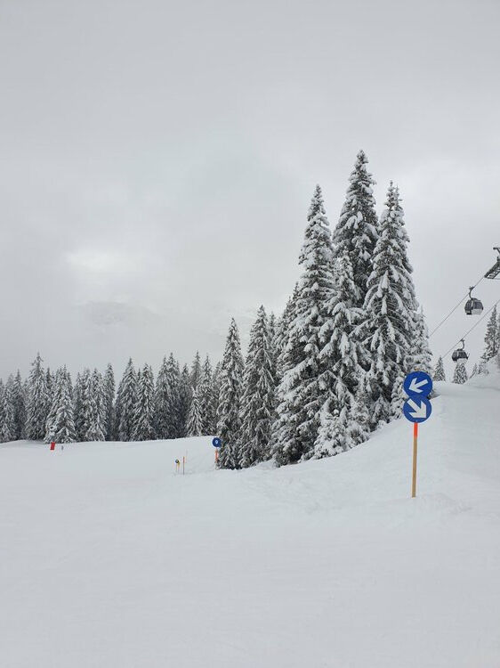 Live-update 159005