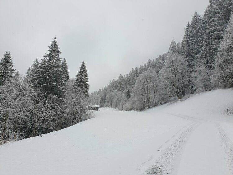 Live-update 158954