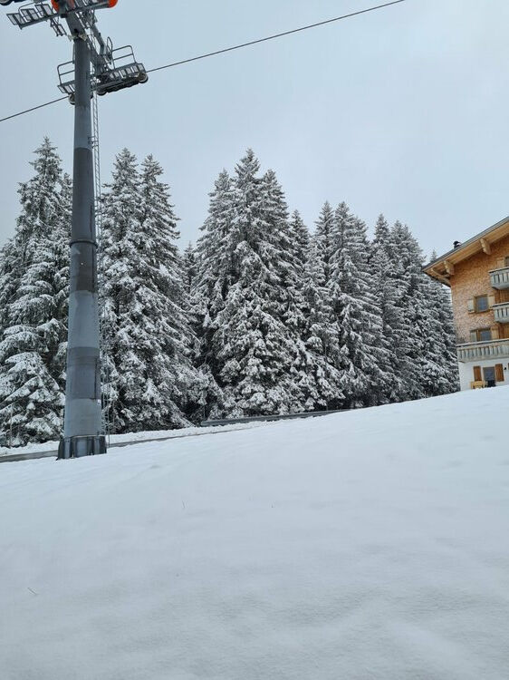 Live-update 159151