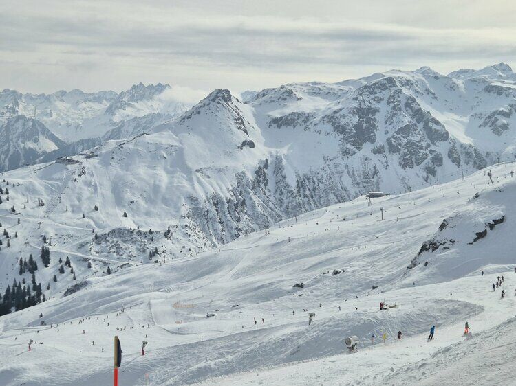 Live-update 157306