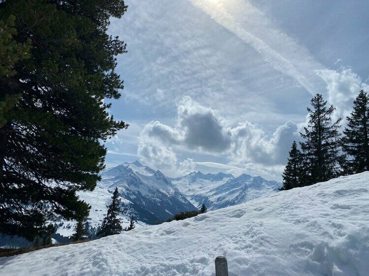 Live-update 137451