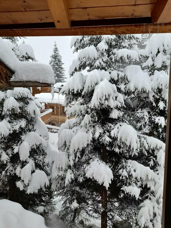 Live-update 138259