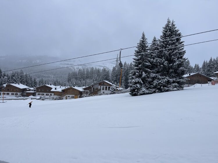 Live-update 158956