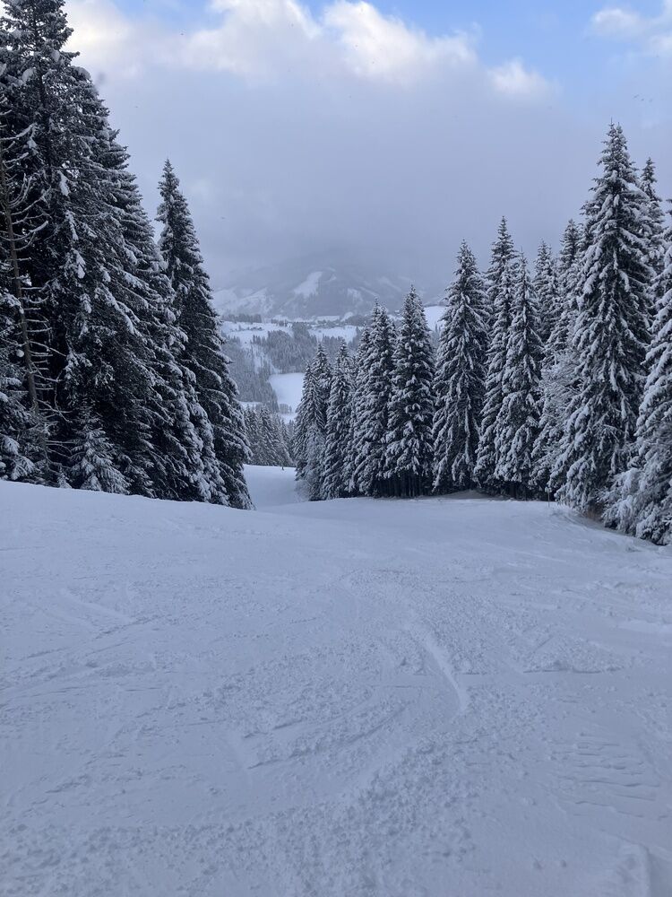 Live-update 151639