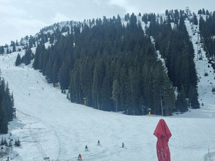Live-update 158841
