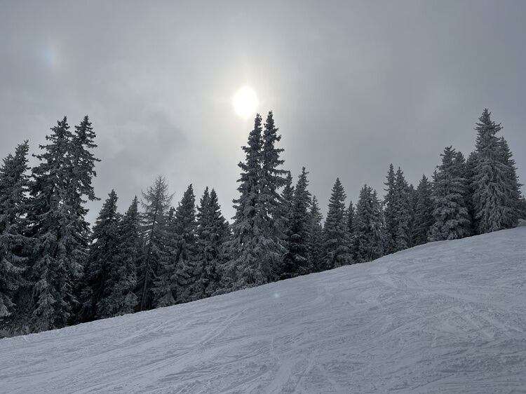 Live-update 134862