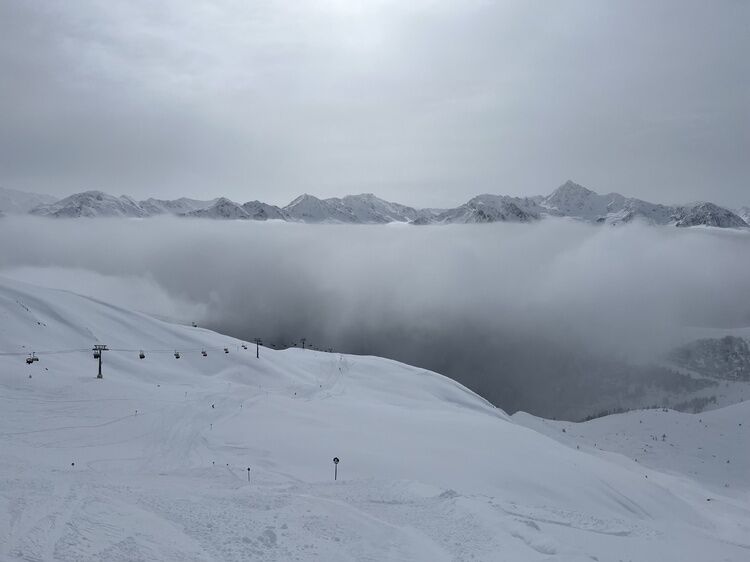 Live-update 134864
