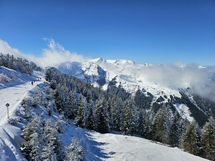 Live-update 157779