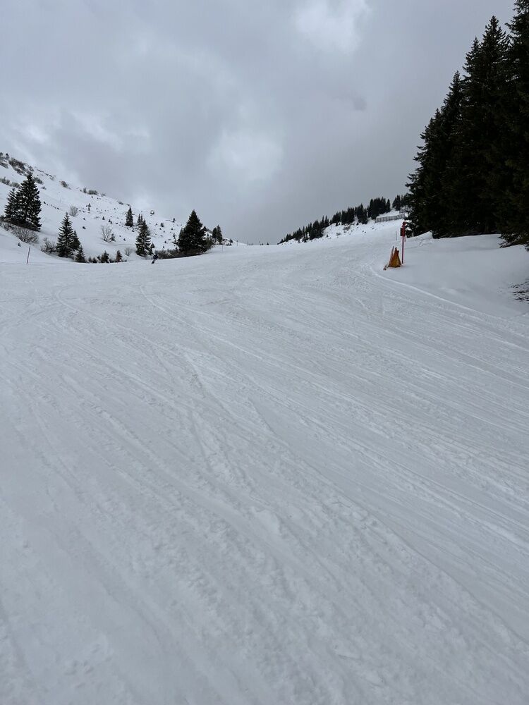 Live-update 138009