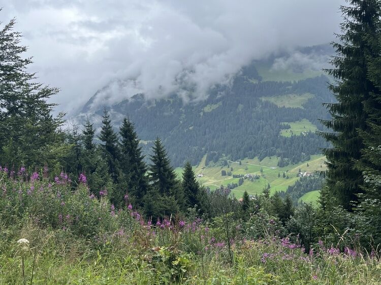 Live-update 160061