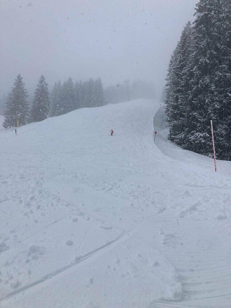 Live-update 158937