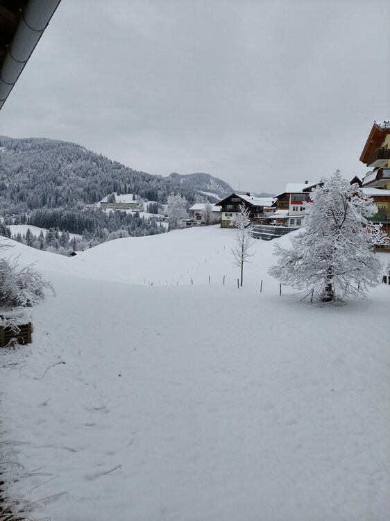 Live-update 158991