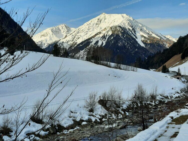 Live-update 157474