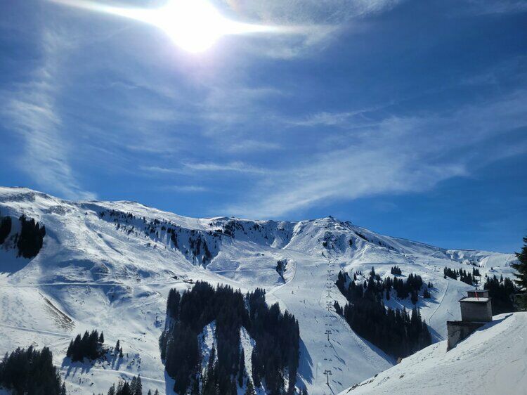 Live-update 137332