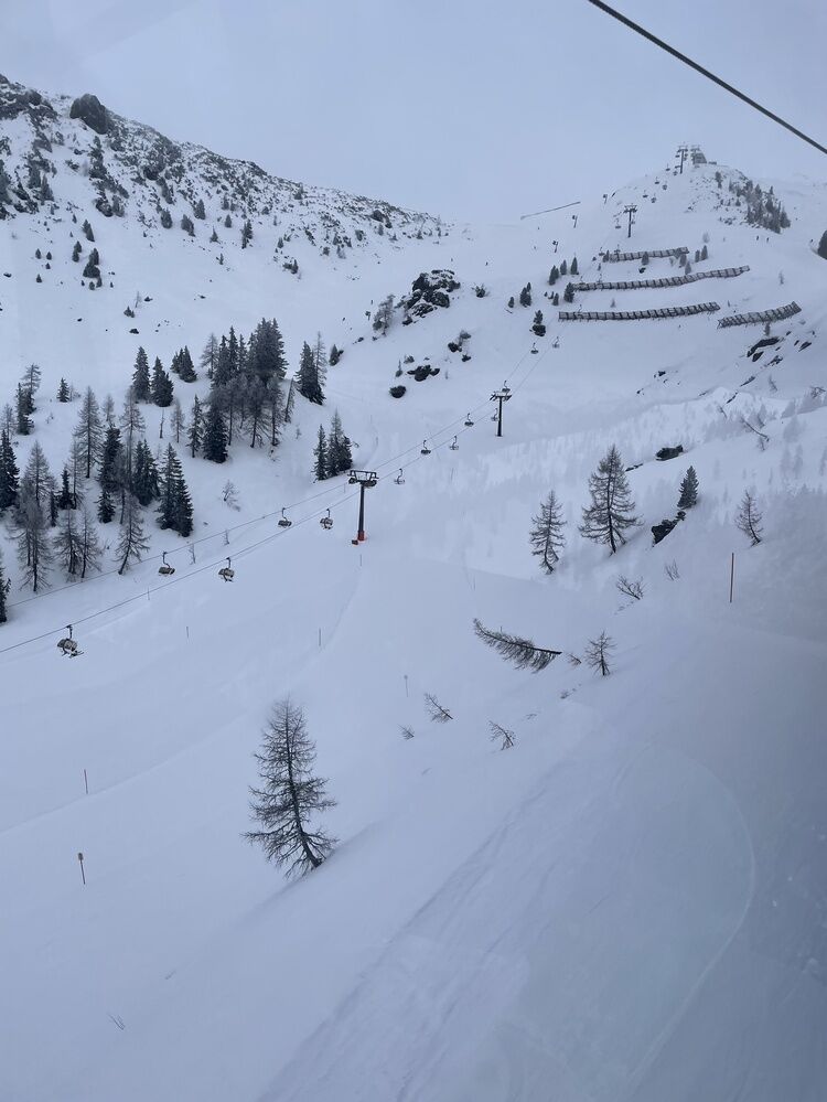 Live-update 136853