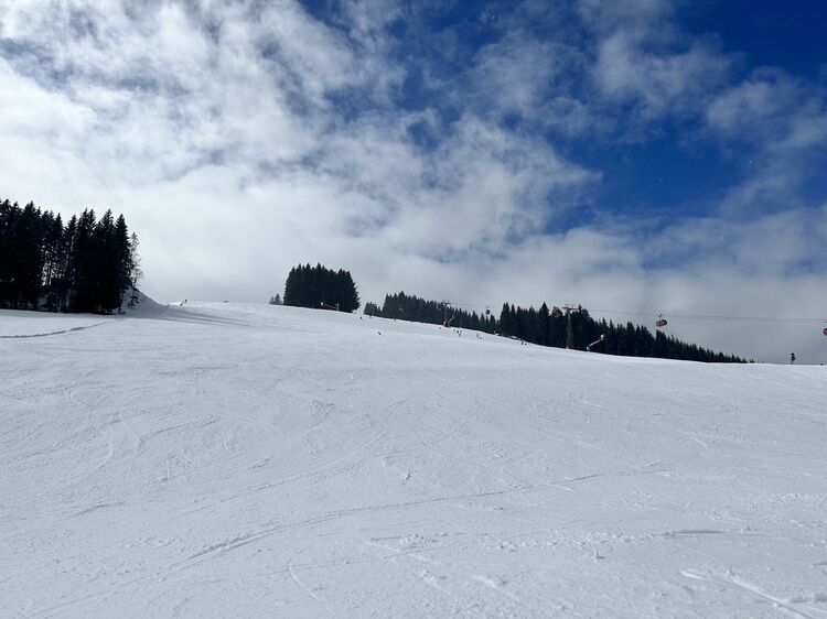 Live-update 136913