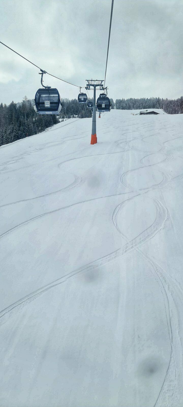 Live-update 137203