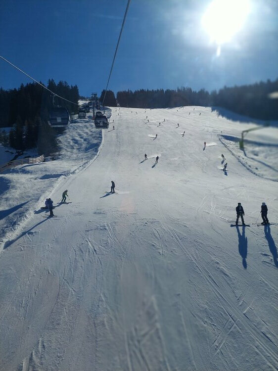 Live-update 137379