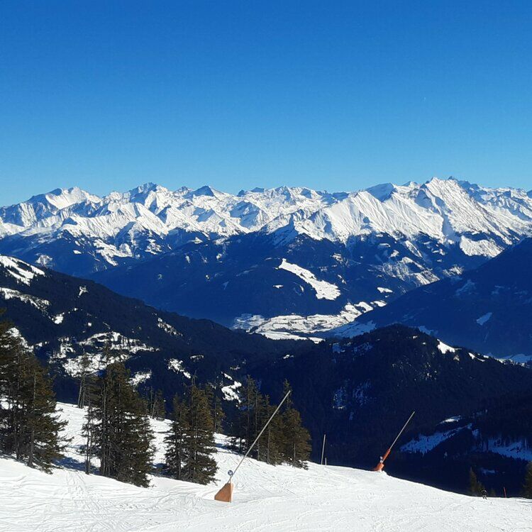 Live-update 133470