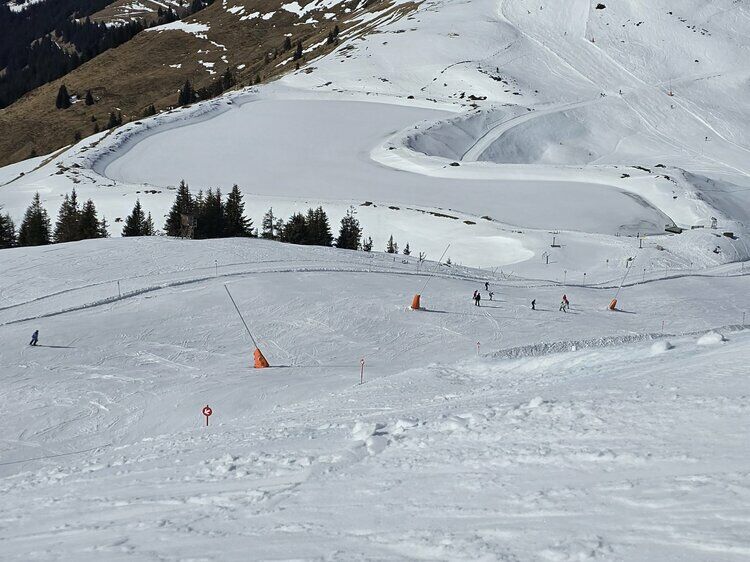 Live-update 157462