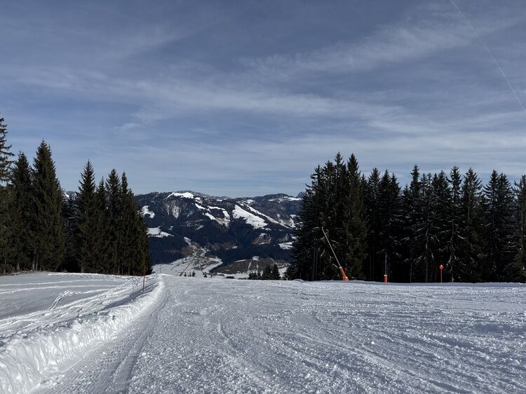 Live-update 155151