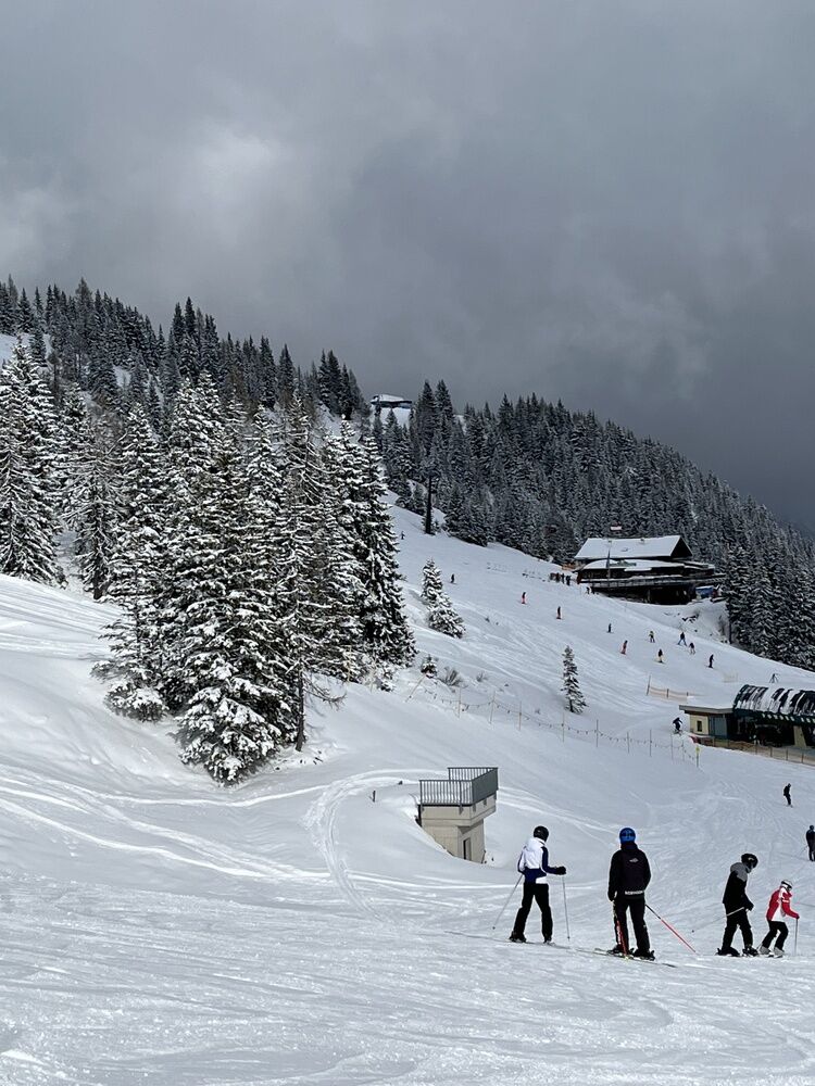 Live-update 134599