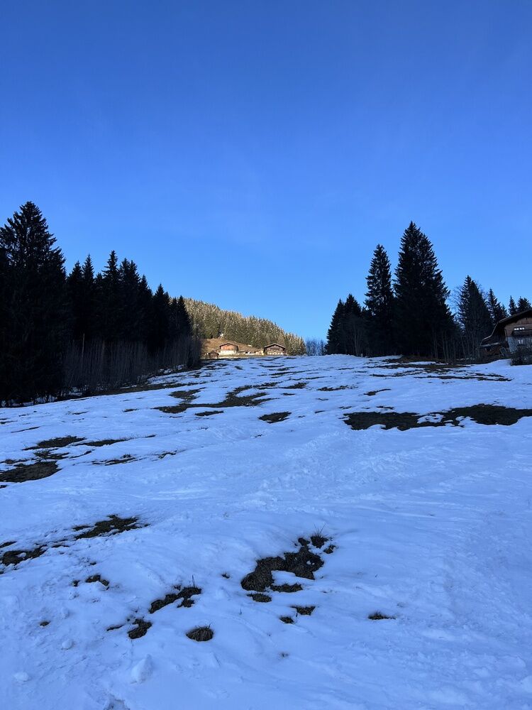 Live-update 135124