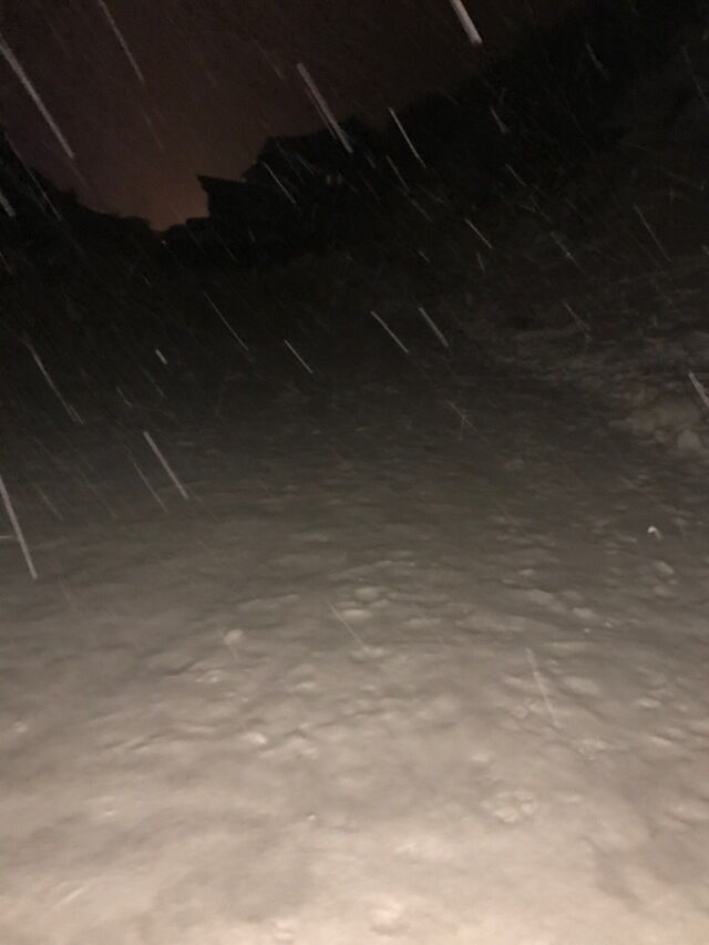 Live-update 56906