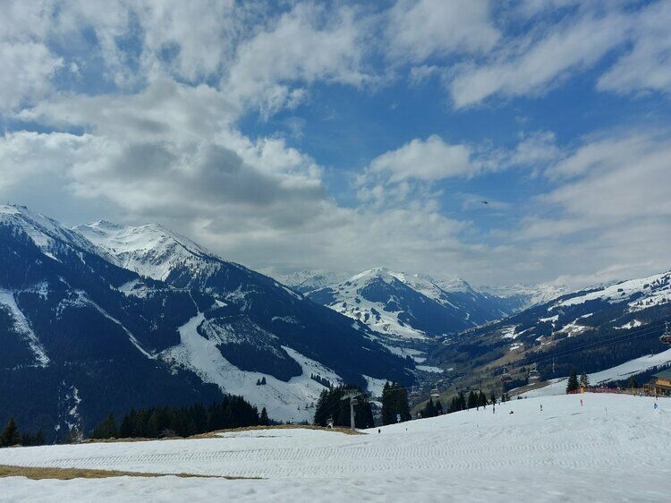 Live-update 137436
