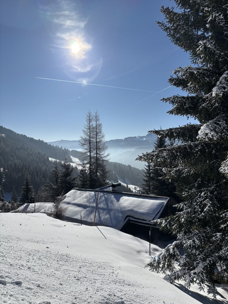 Live-update 156803