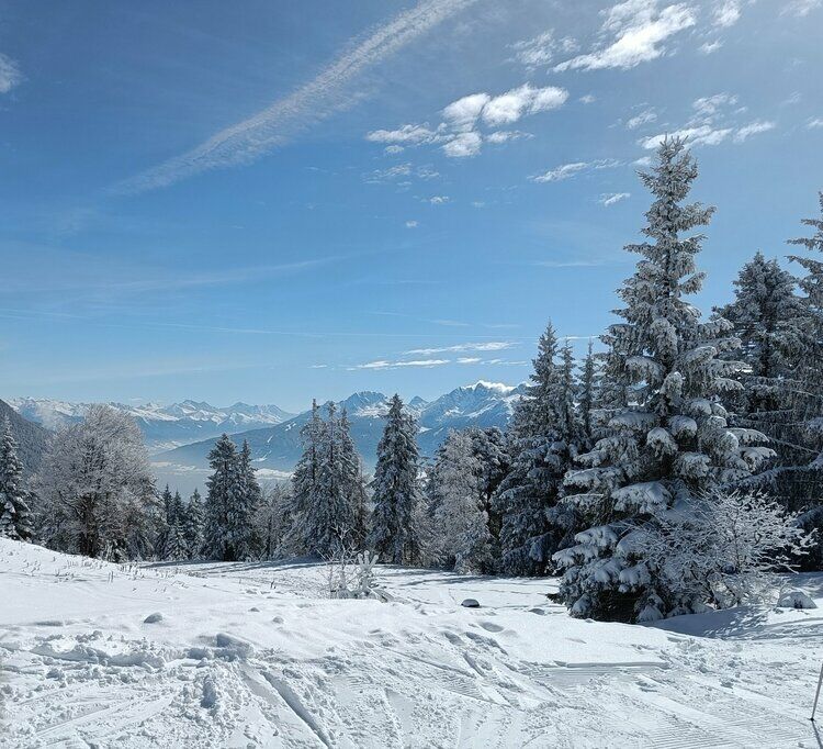 Live-update 135202