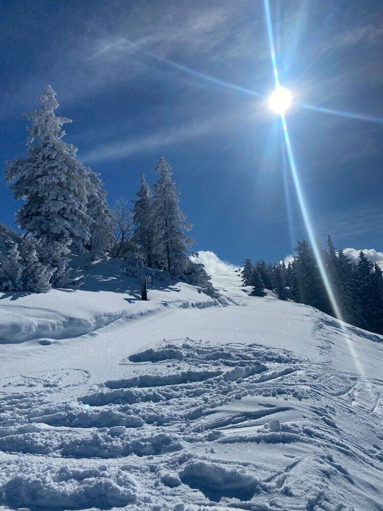 Live-update 137250