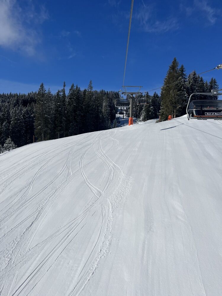 Live-update 137266