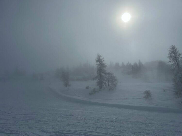 Live-update 159015