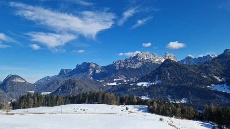 Live-update 154202