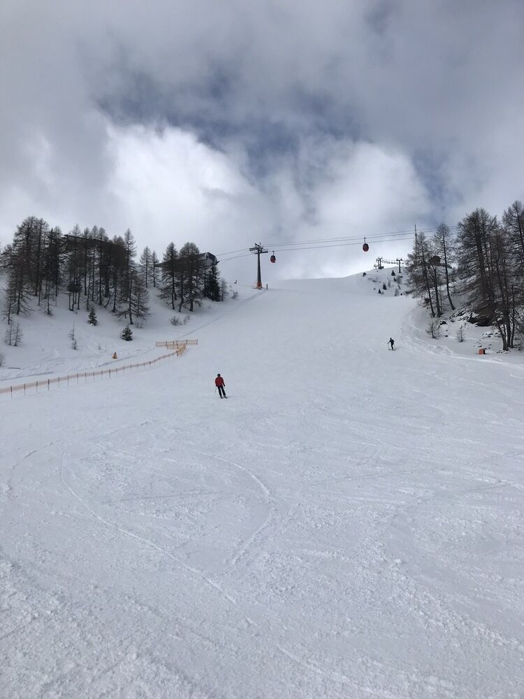 Live-update 137941