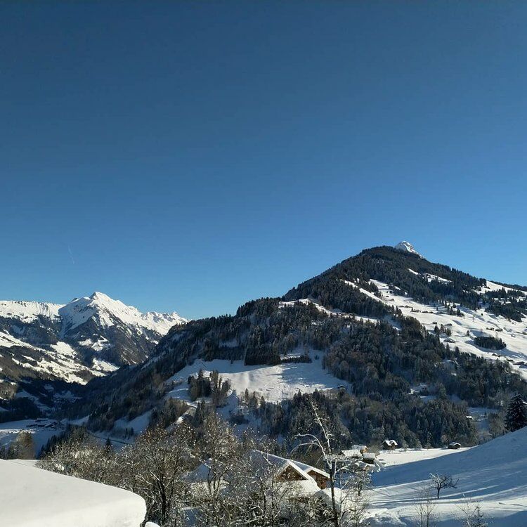 Live-update 93605