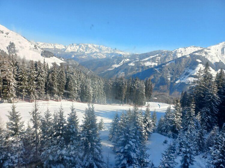 Live-update 135306