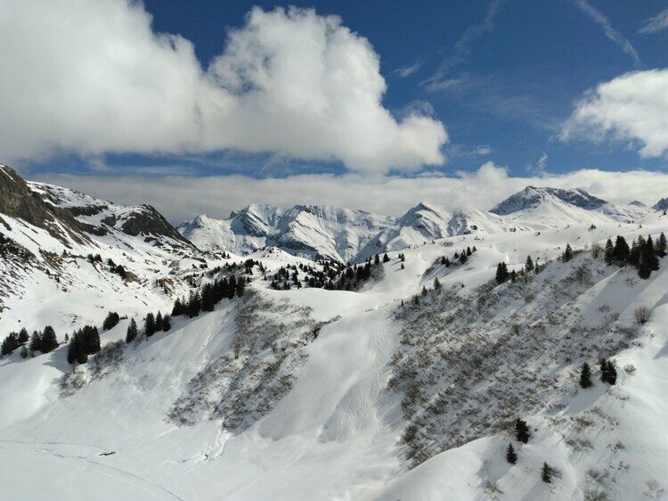 Live-update 137509