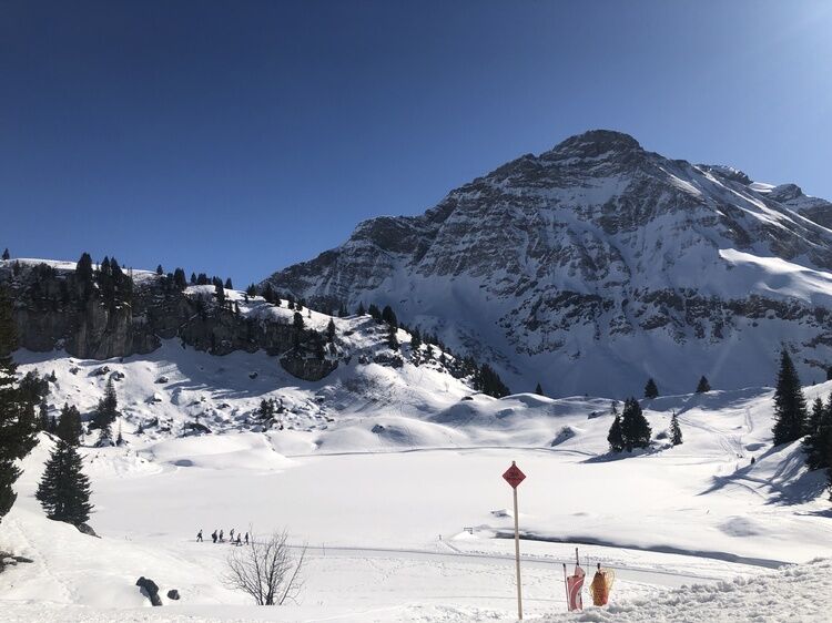 Live-update 158453