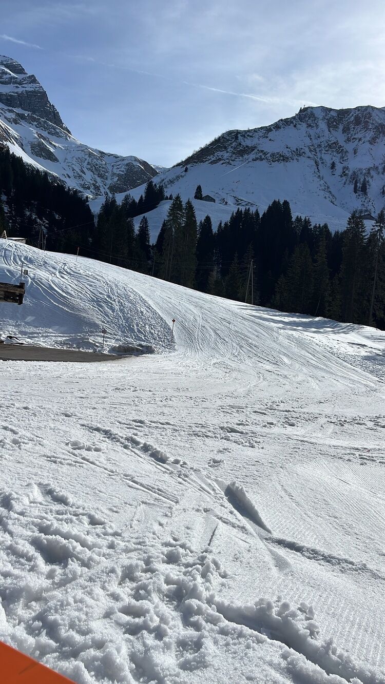 Live-update 157352