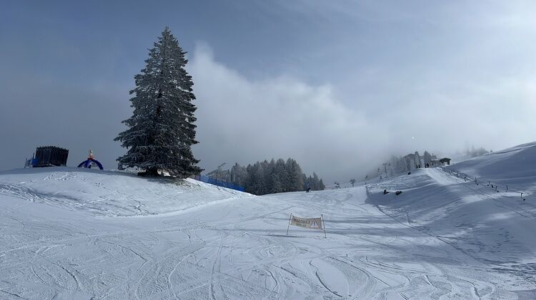 Live-update 134833