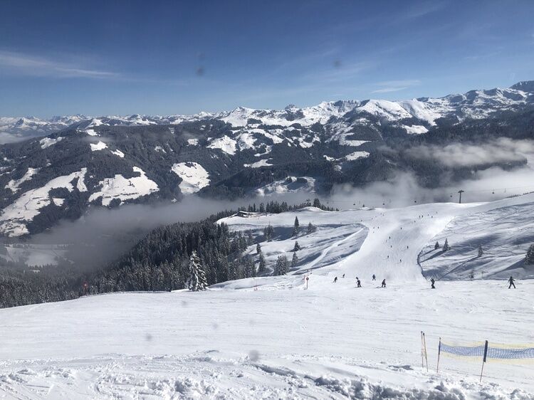 Live-update 135281