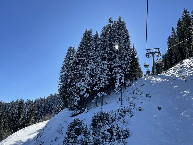 Live-update 156752