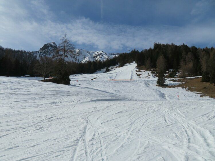 Live-update 157382
