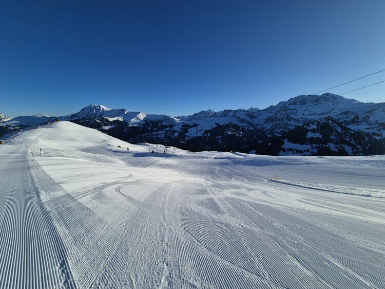 Live-update 154214