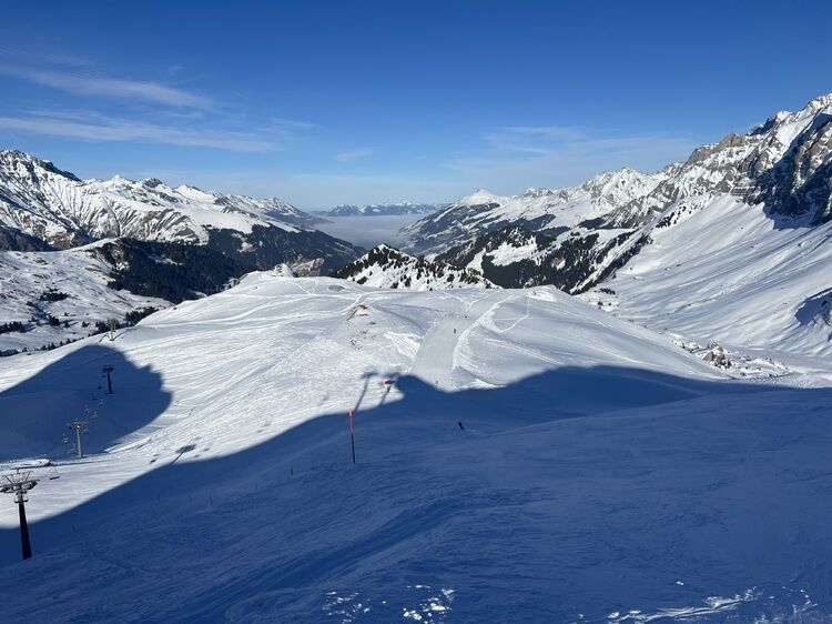 Live-update 155690