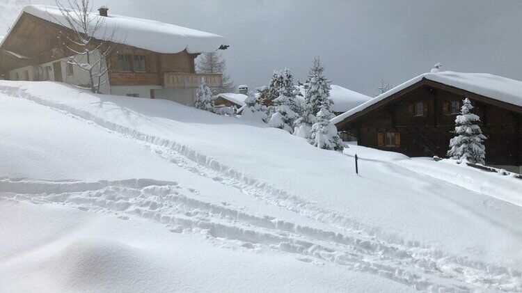 Live-update 114535