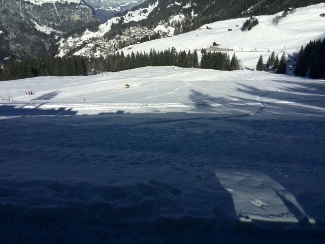 Live-update 45676