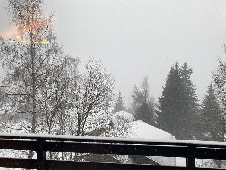Live-update 121735